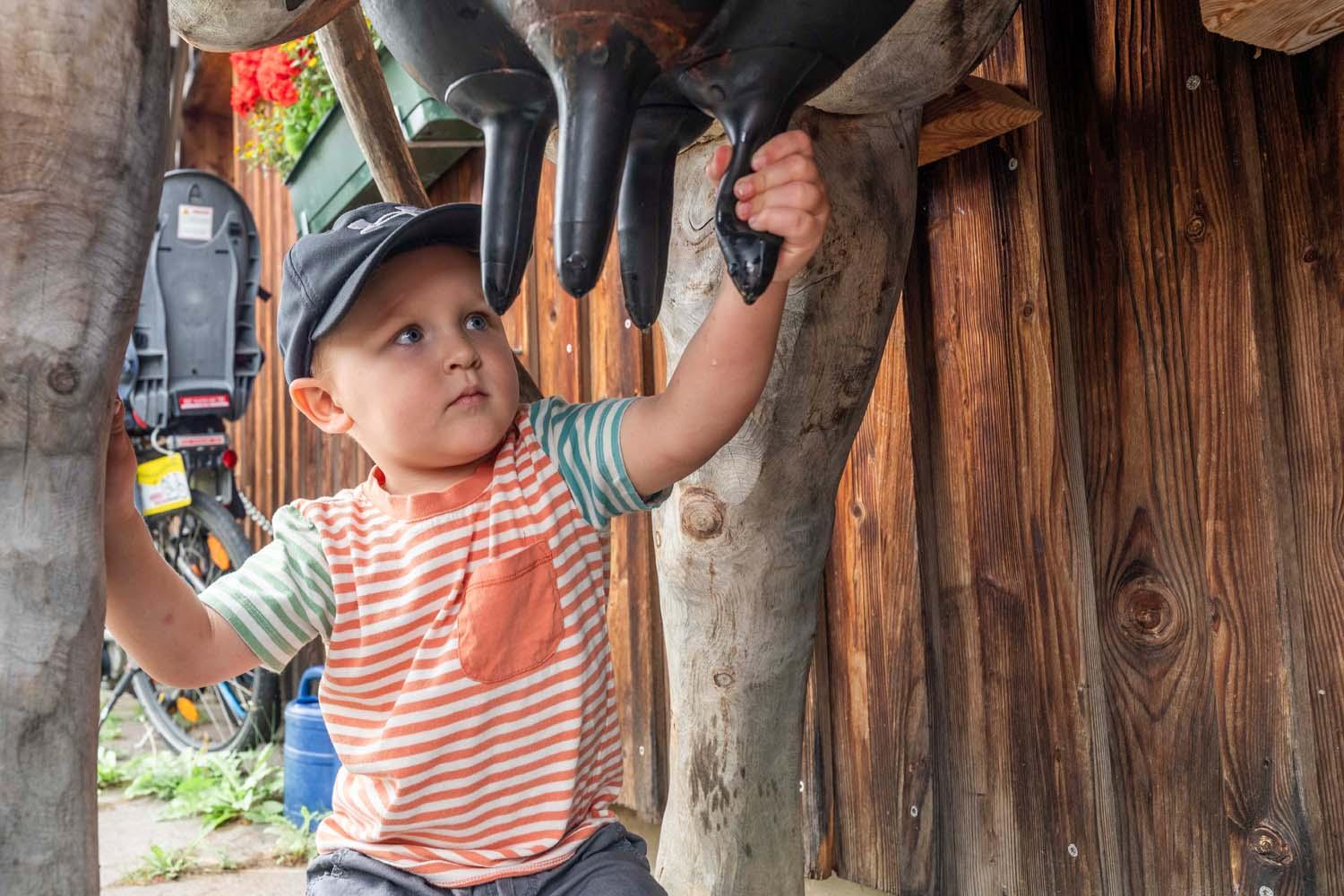 Früh übt sich beim Melken